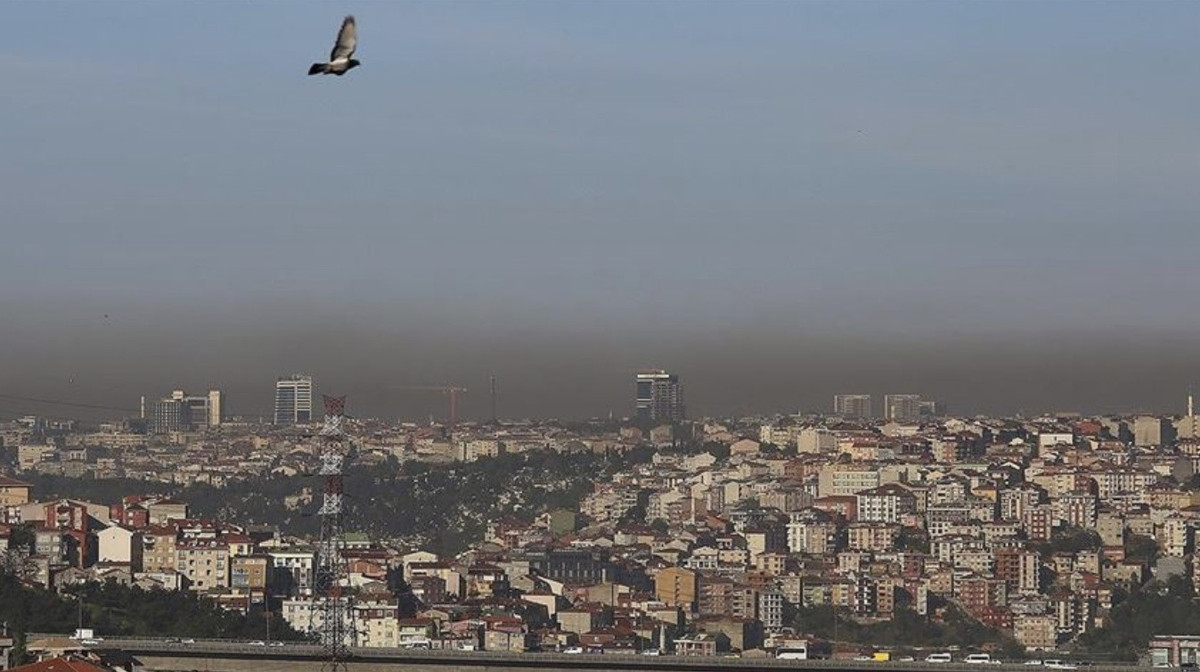 Fotoğraf: AA Arşiv
