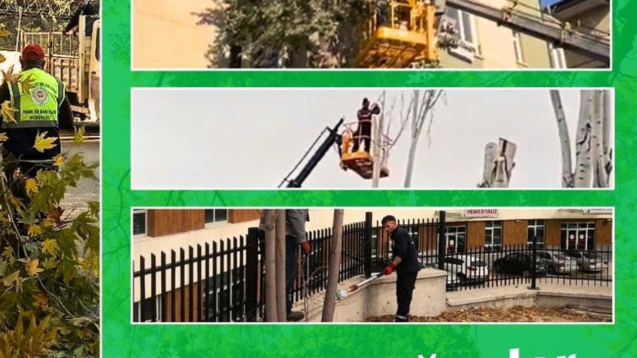 Etimesgut Belediyesinden doğayı koruma ve güvenlik için ağaç kesim çalışmaları