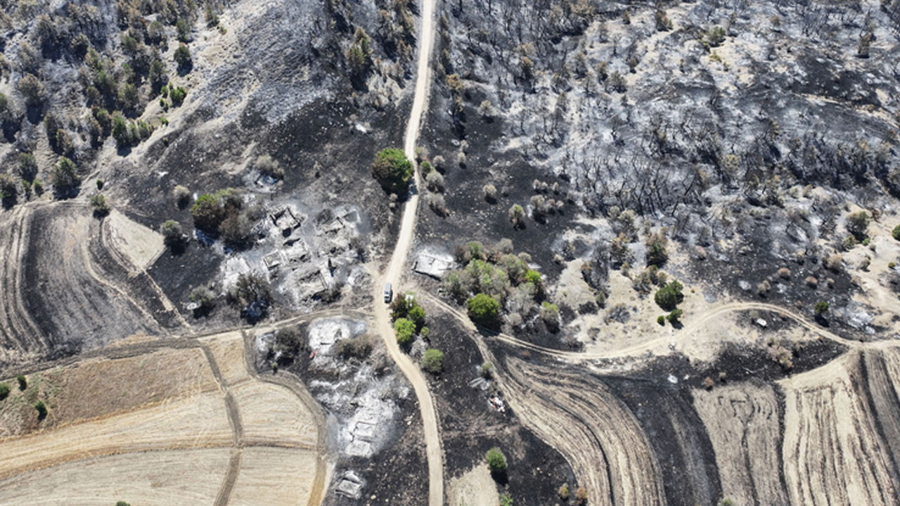 Ankara'daki orman yangınında soruşturma tamamlandı: 10 yıl hapsi isteniyor
