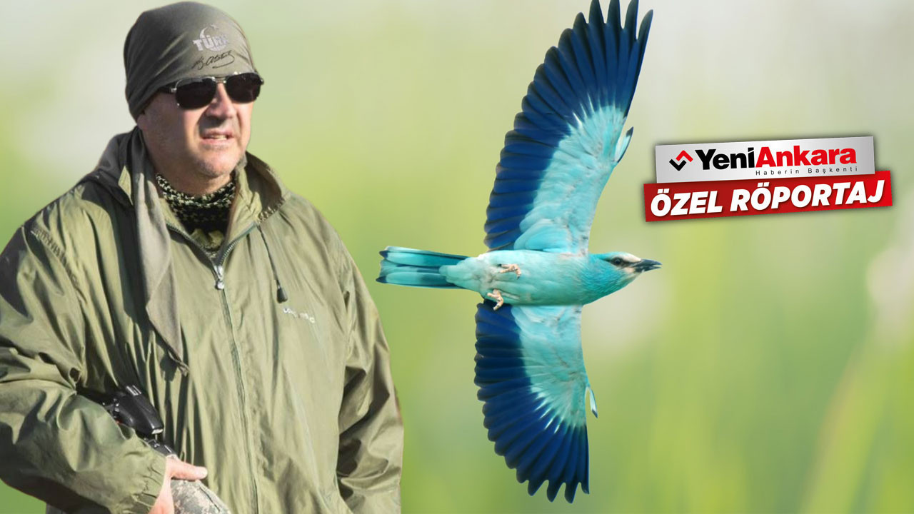Okan Akyürek 300'e yakın kuş türünü fotoğrafladı: Her karenin arkasında sabır var