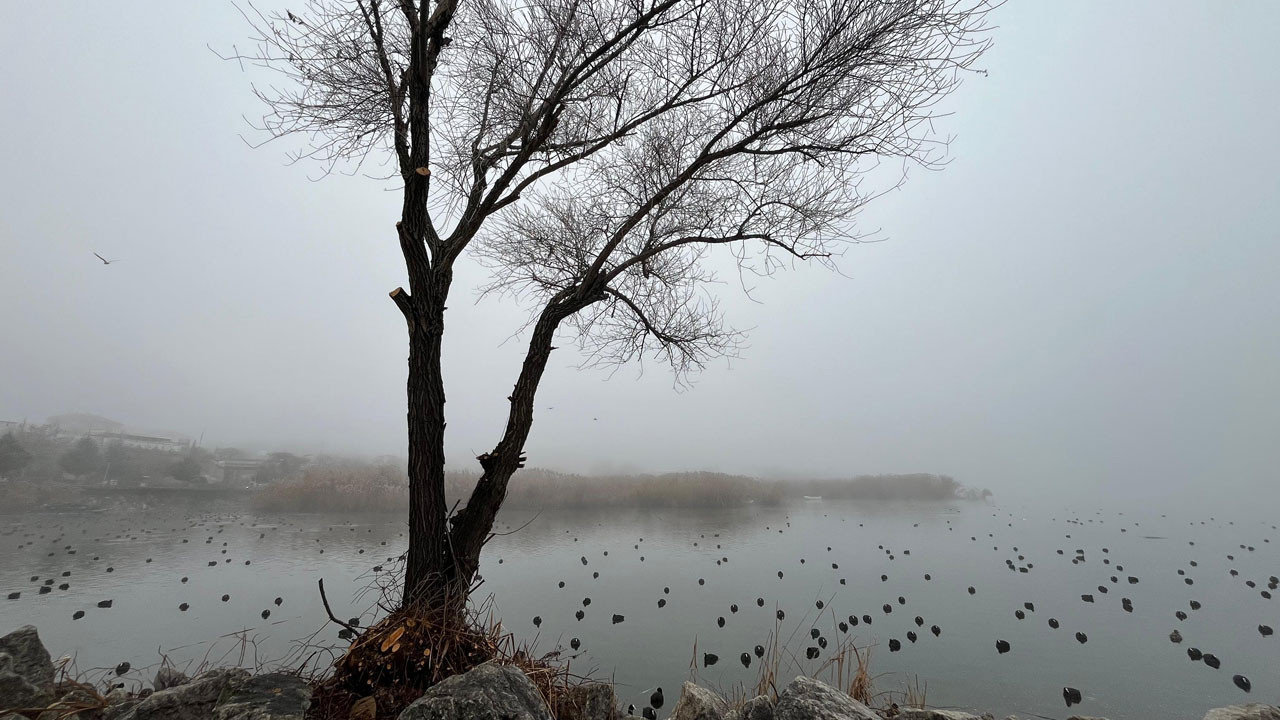 Ankara Gölbaşı’nda yoğun sis: Kartpostallık görüntüler ortaya çıktı