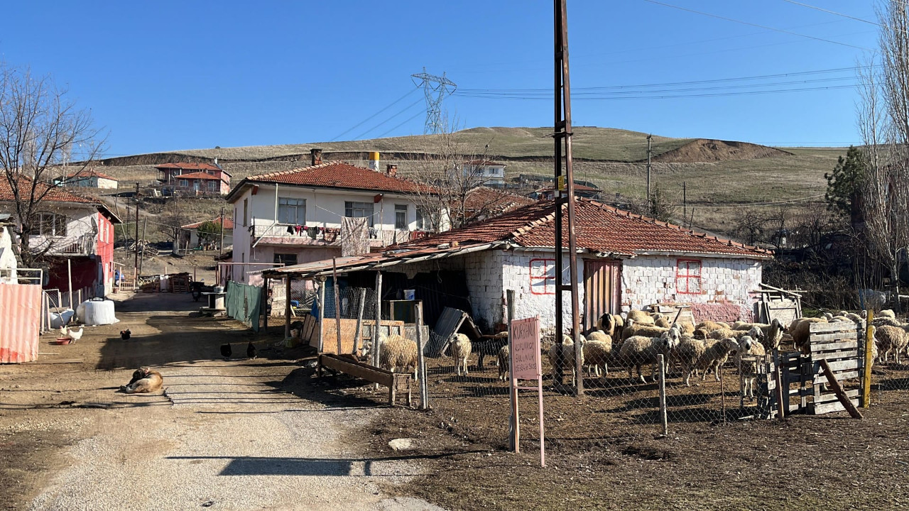 20 yıldır kaderine terk edilen Saray Osmangazi Mahallesi, temel ihtiyaçlara kavuşturulmayı bekliyor!