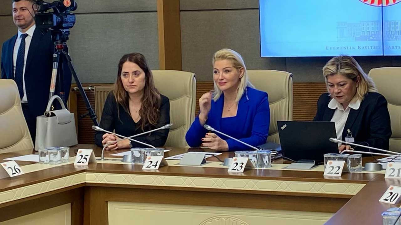 TBMM'de Zahide Yetiş krizi: "Kadınlar da şiddet uygulayabiliyor" dedi,ortalık karıştı