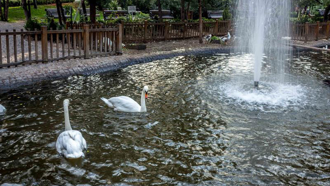 3 Ağustos'ta Ankara'da neler yaşandı?
