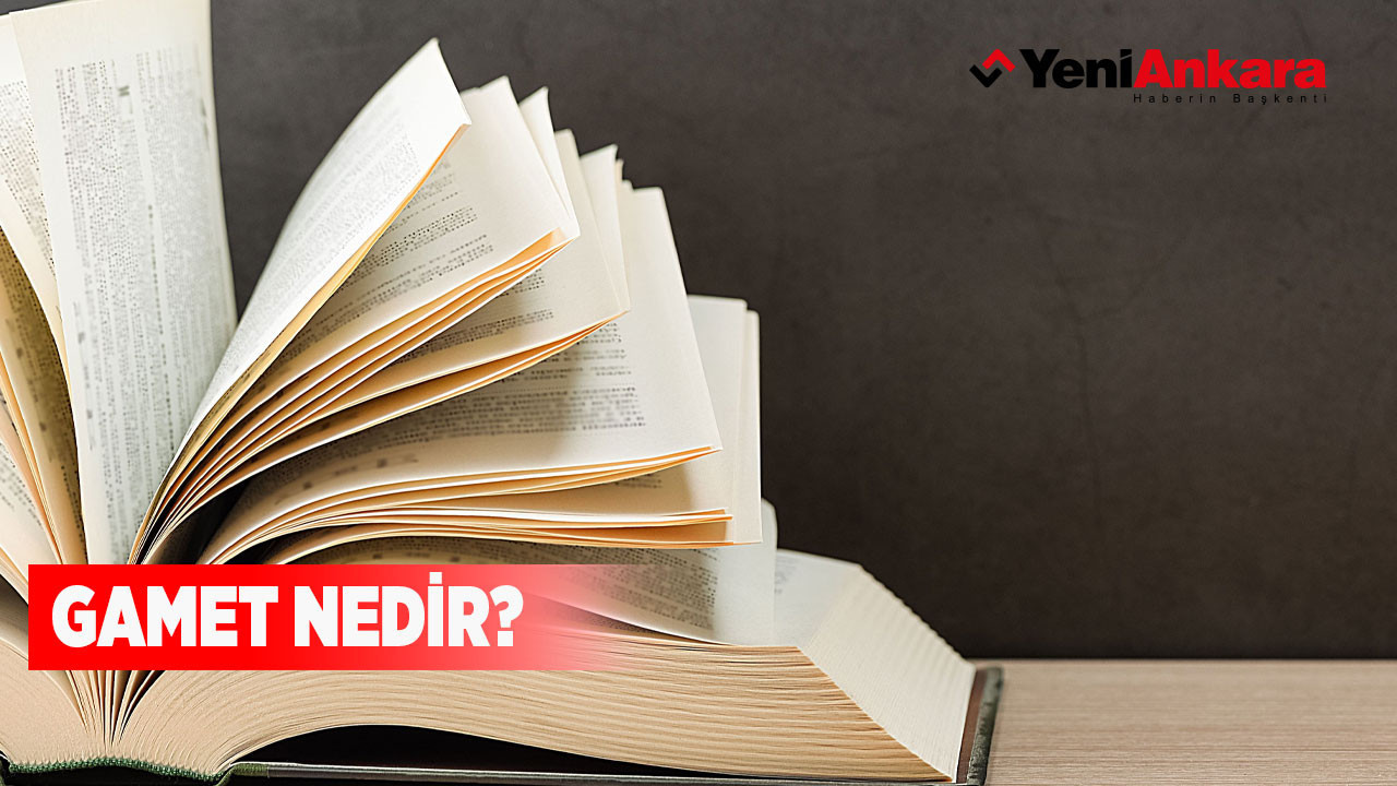 Gamet nedir?