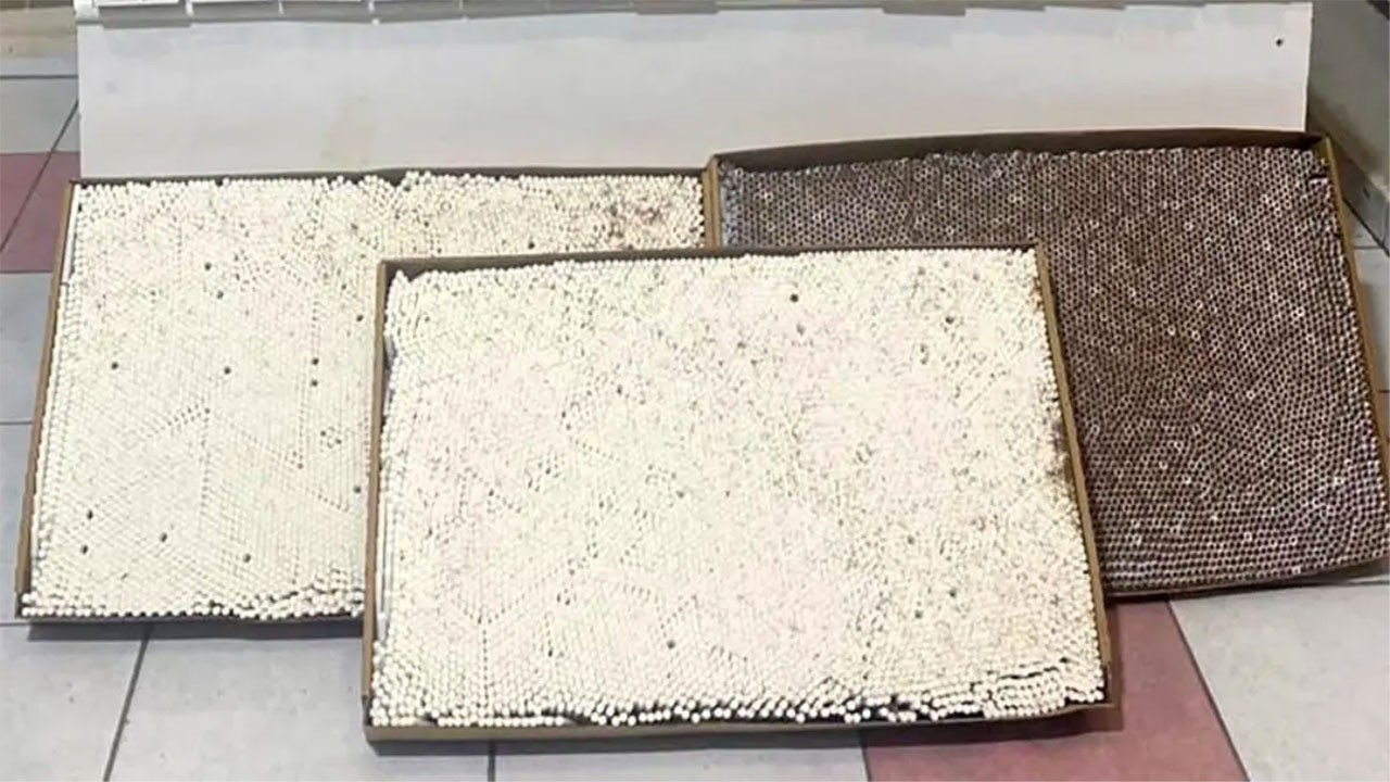 Kırıkkale'de 46 bin kaçak makaron yakalandı