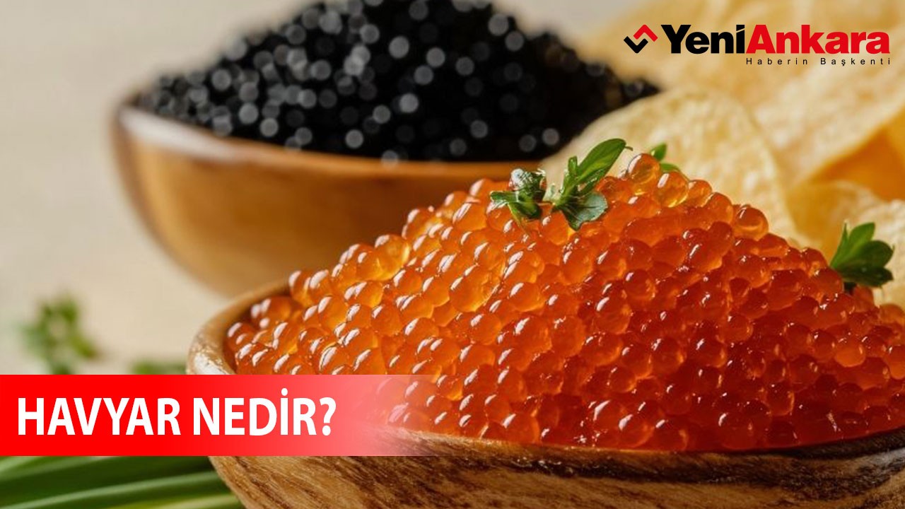 Havyar Nedir?
