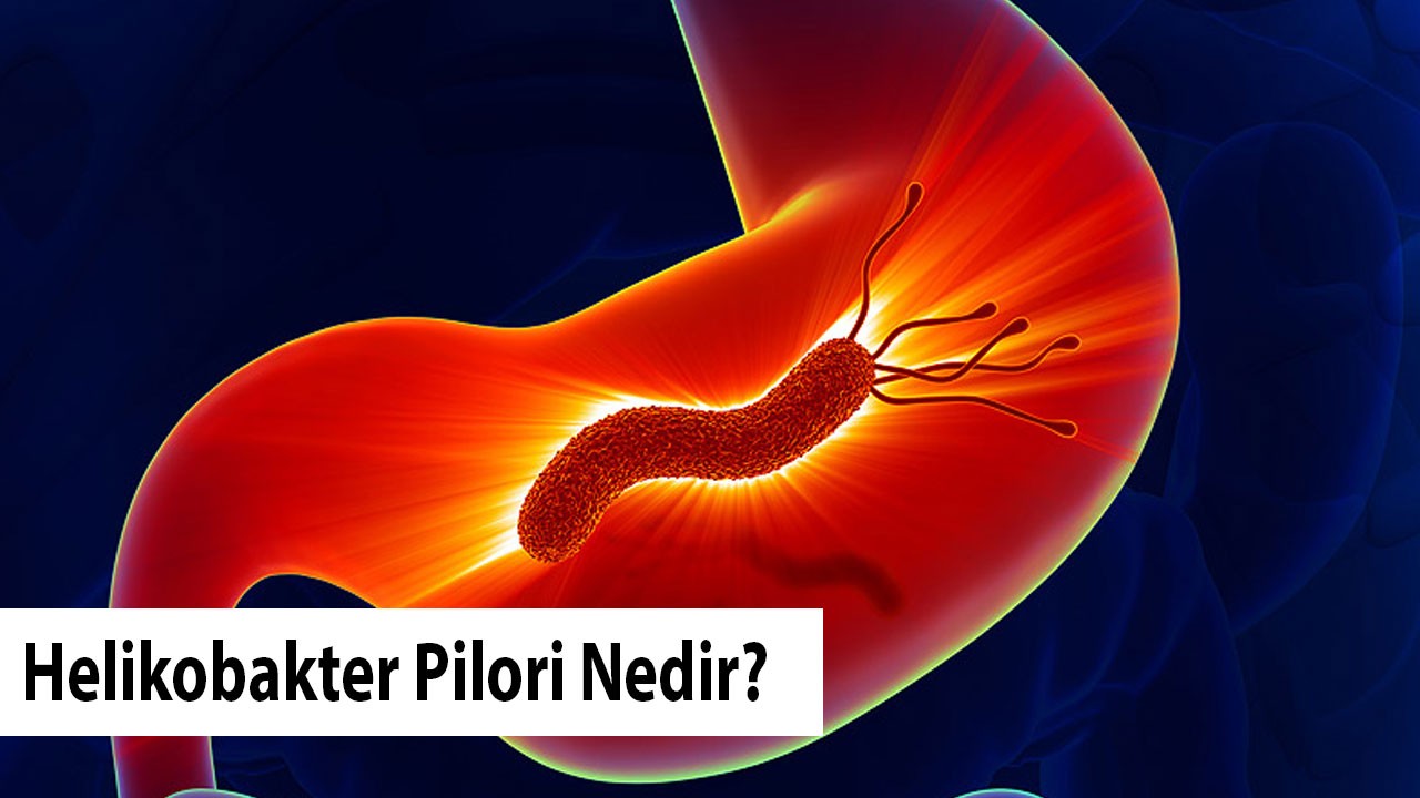 Helikobakter Pilori Nedir?