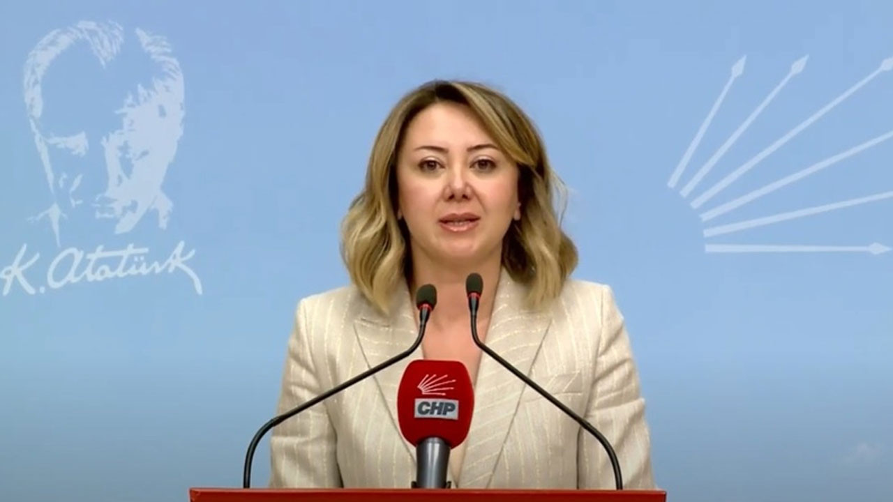 CHP Genel Başkan Yardımcısı Gül Çiftçi Binici kim, nereli, yaşı kaç?