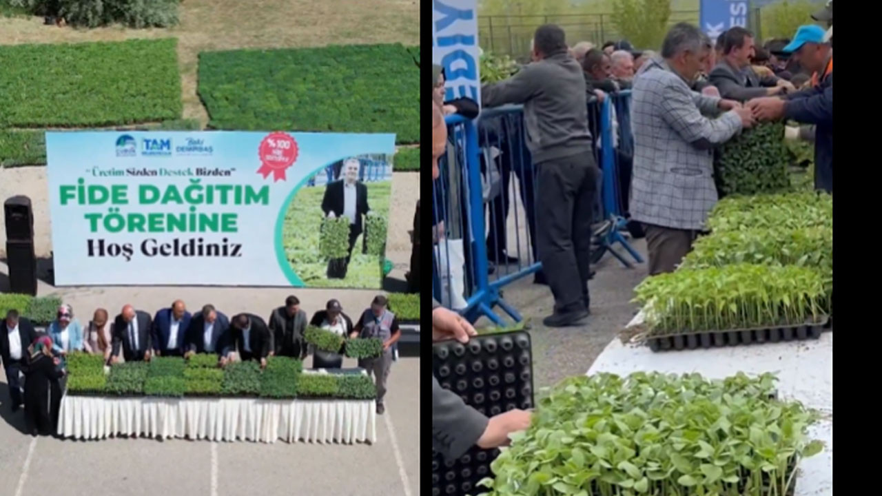Çubuk Belediyesinden çiftçilere büyük destek! 1 milyon fide ücretsiz dağıtılacak