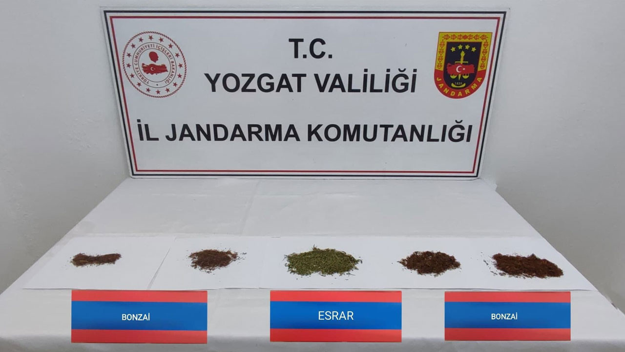 Yozgat’ta uyuşturucu satıcılarına büyük darbe! Çok sayıda bonzai ve esrar ele geçirildi