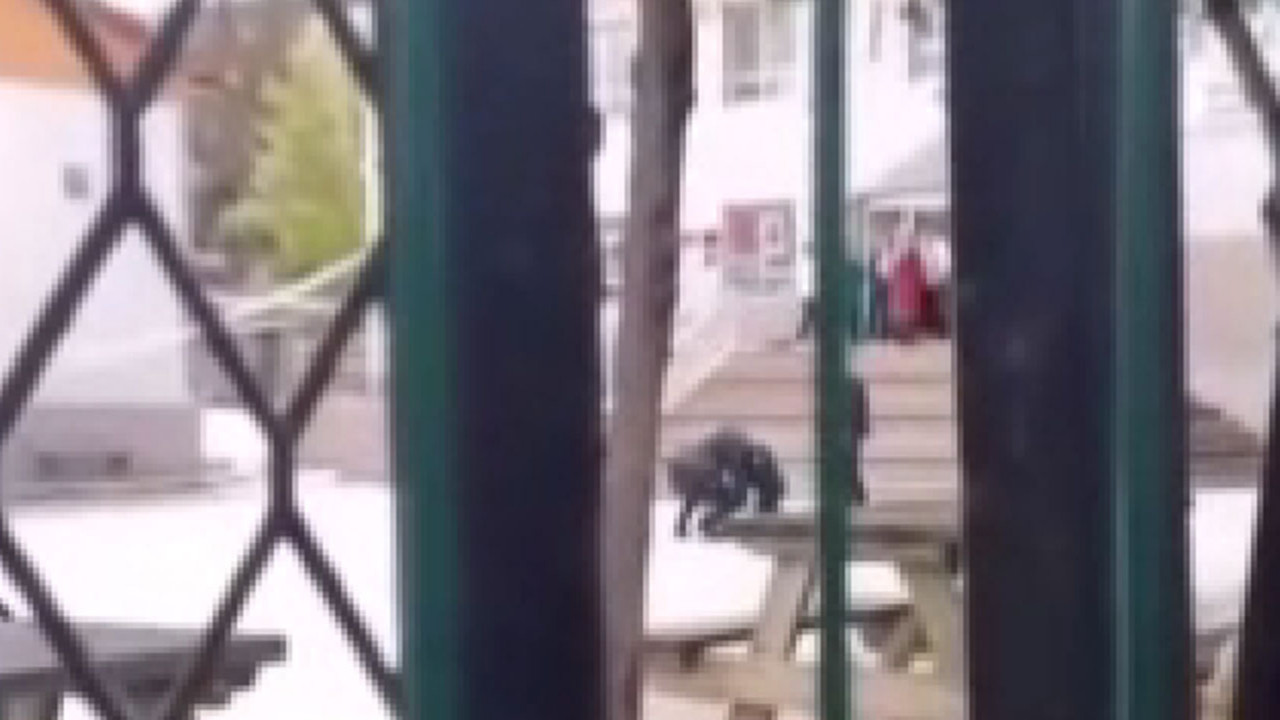 Yenimahalle'de dayı krizi! Alkollü dayı anaokulunda olay çıkardı!