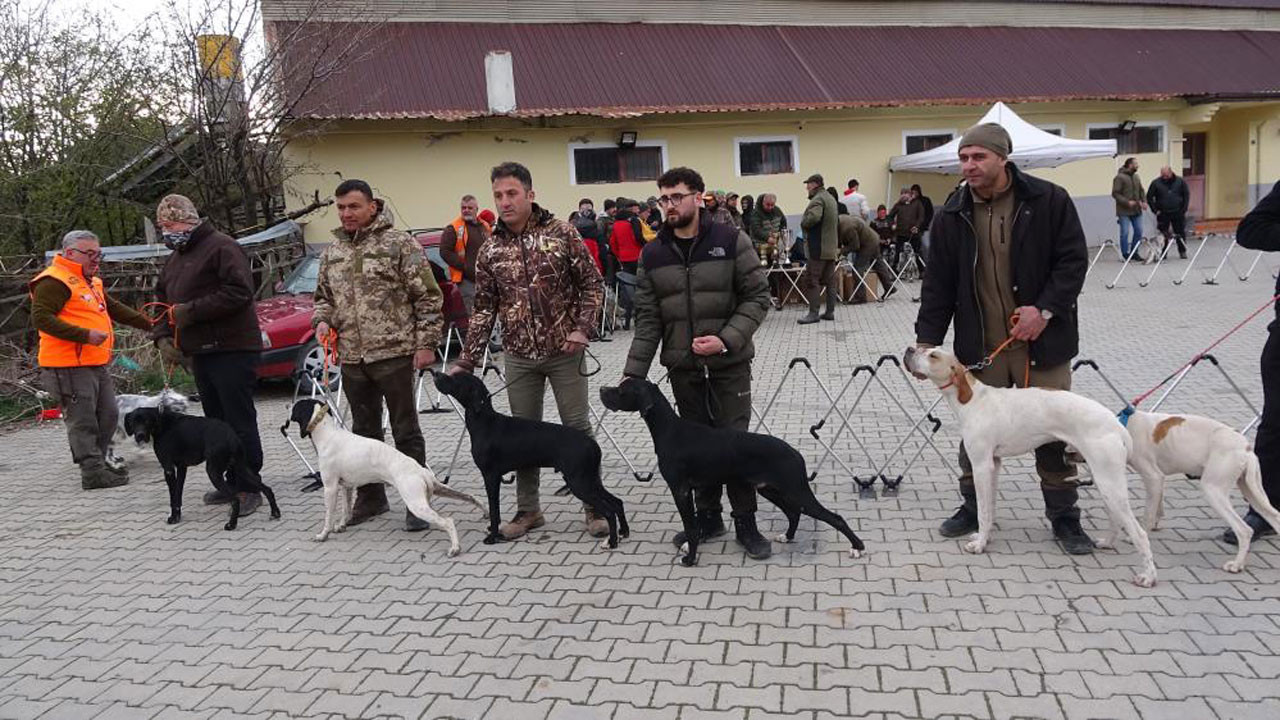 Yozgat’ta cins köpekler için yarışma düzenlendi