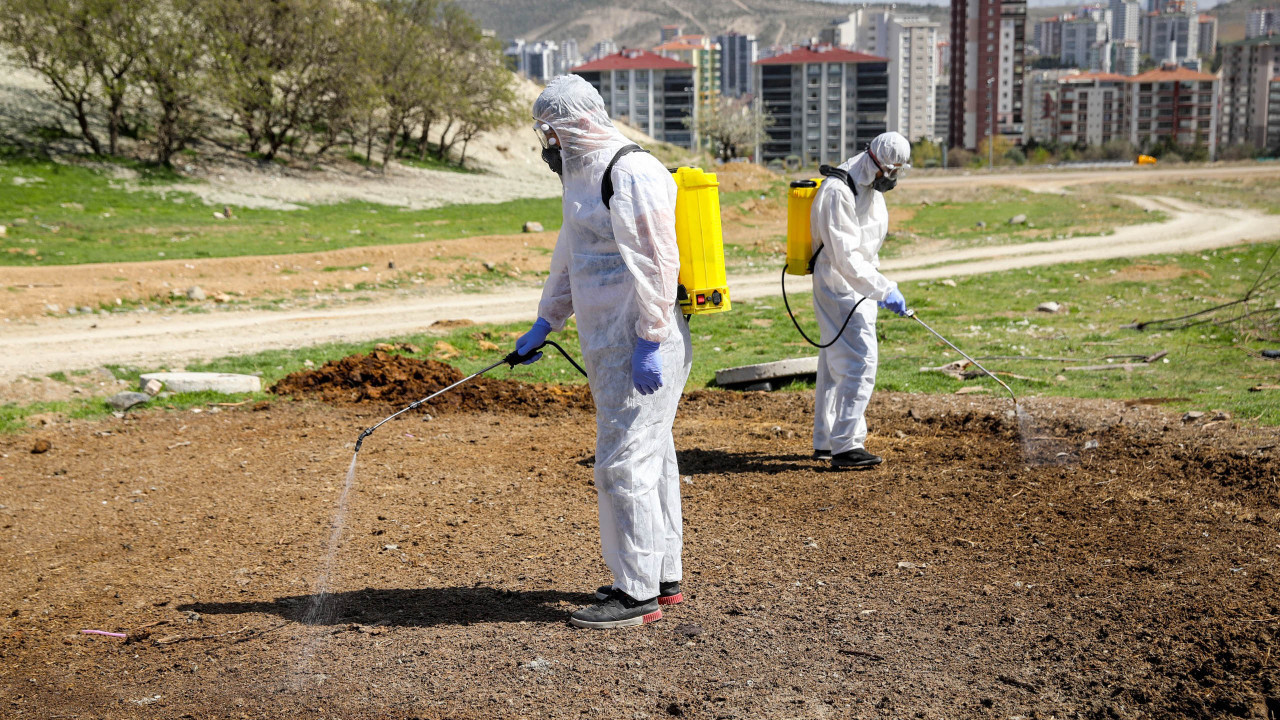 Etimesgut'ta sinek ve haşerelerle mücadele! İlaçlama çalışmaları başladı