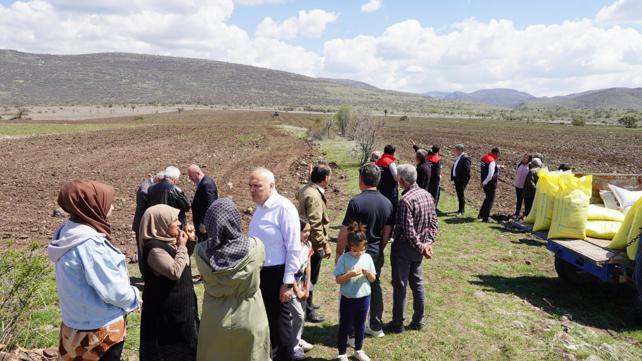 Ankara'da sağlıklı geleceğe yerli adım: Karabuğday Kızılcahamam topraklarında