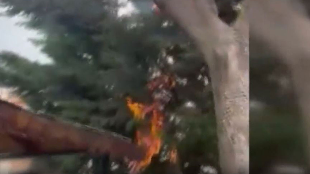 Polatlı'da çocukların ağaç yaktığı anlar kamerada! Belediyeden açıklama geldi