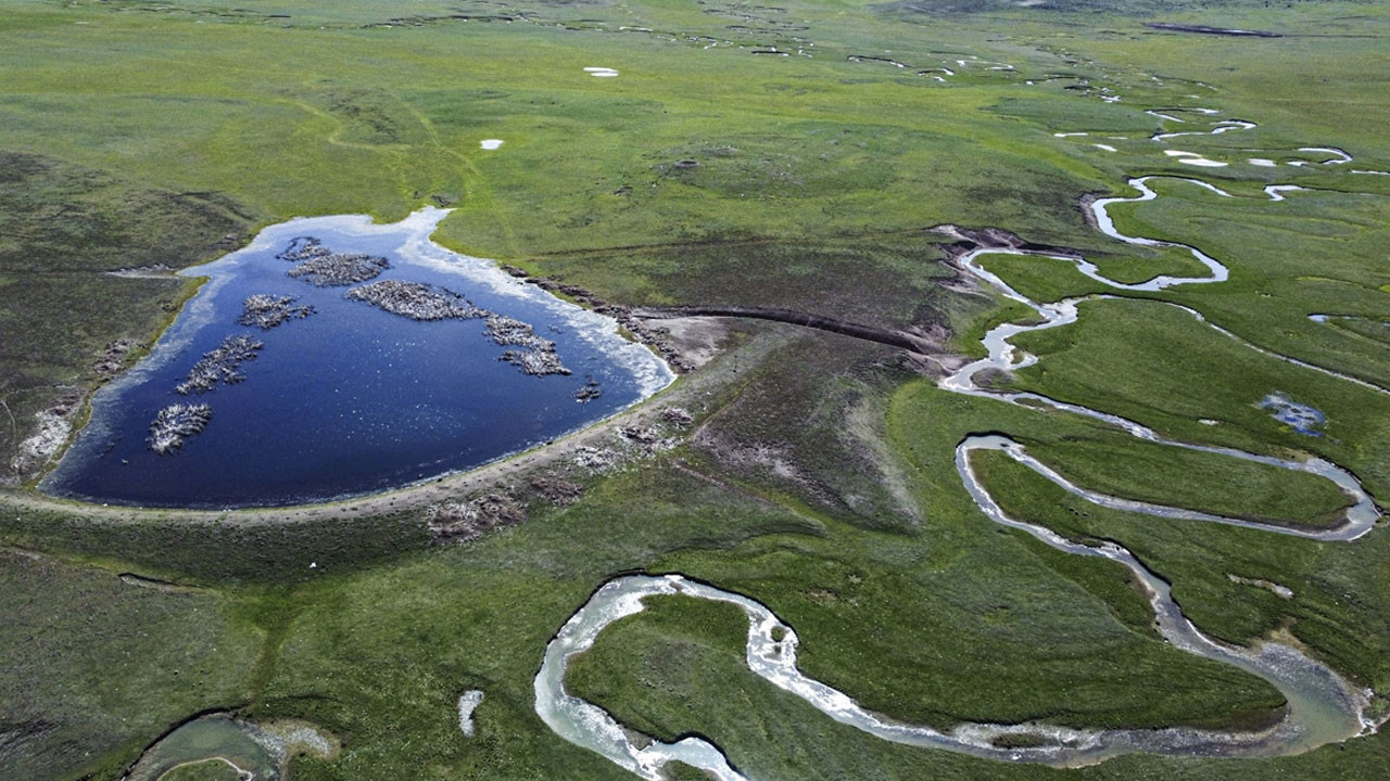 Ankara'da 'saklı Karadeniz' Benli Yaylası güzelliğiyle büyülüyor