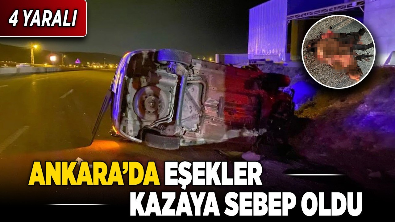 Ankara'da eşekler kazaya sebep oldu: 4 yaralı