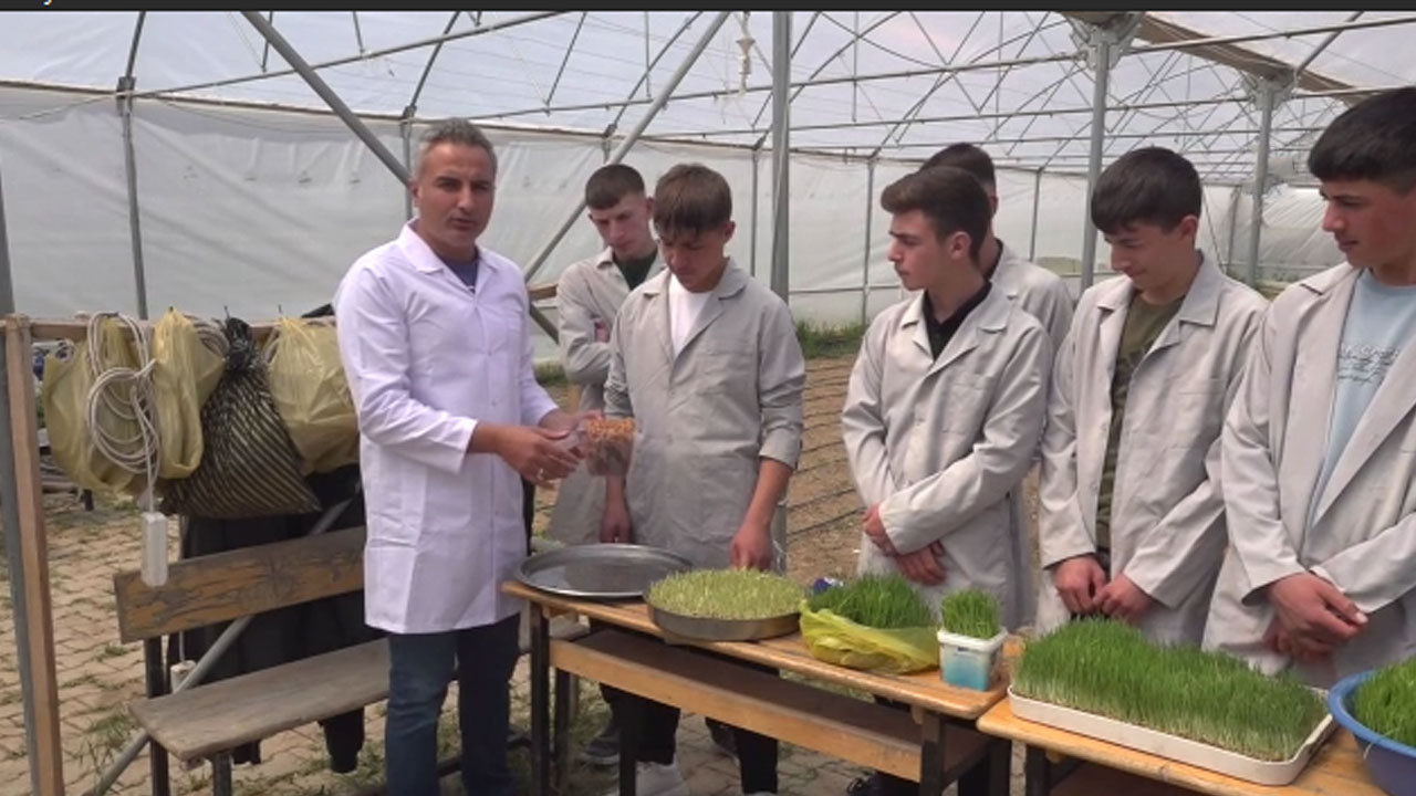 Tarlaya gerek yok! Yozgatlı öğrenciler 15 günde yüksek verimli yem üretiyor