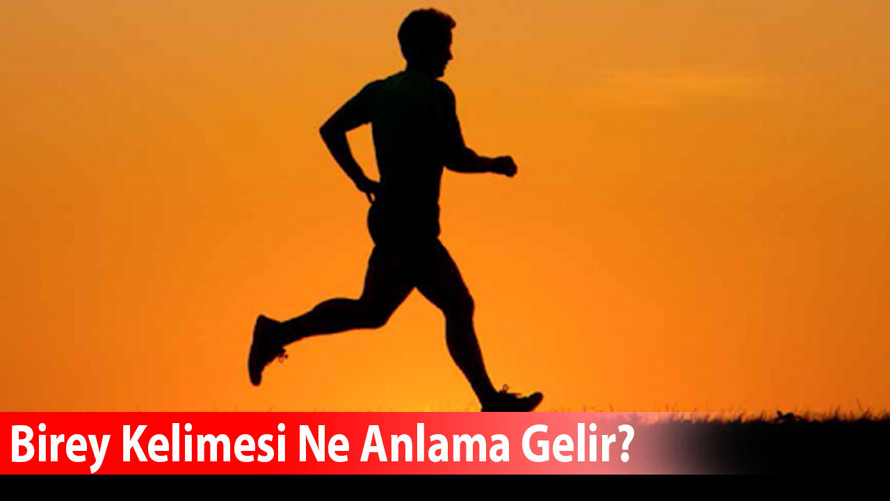Birey Kelimesi Ne Anlama Gelir?
