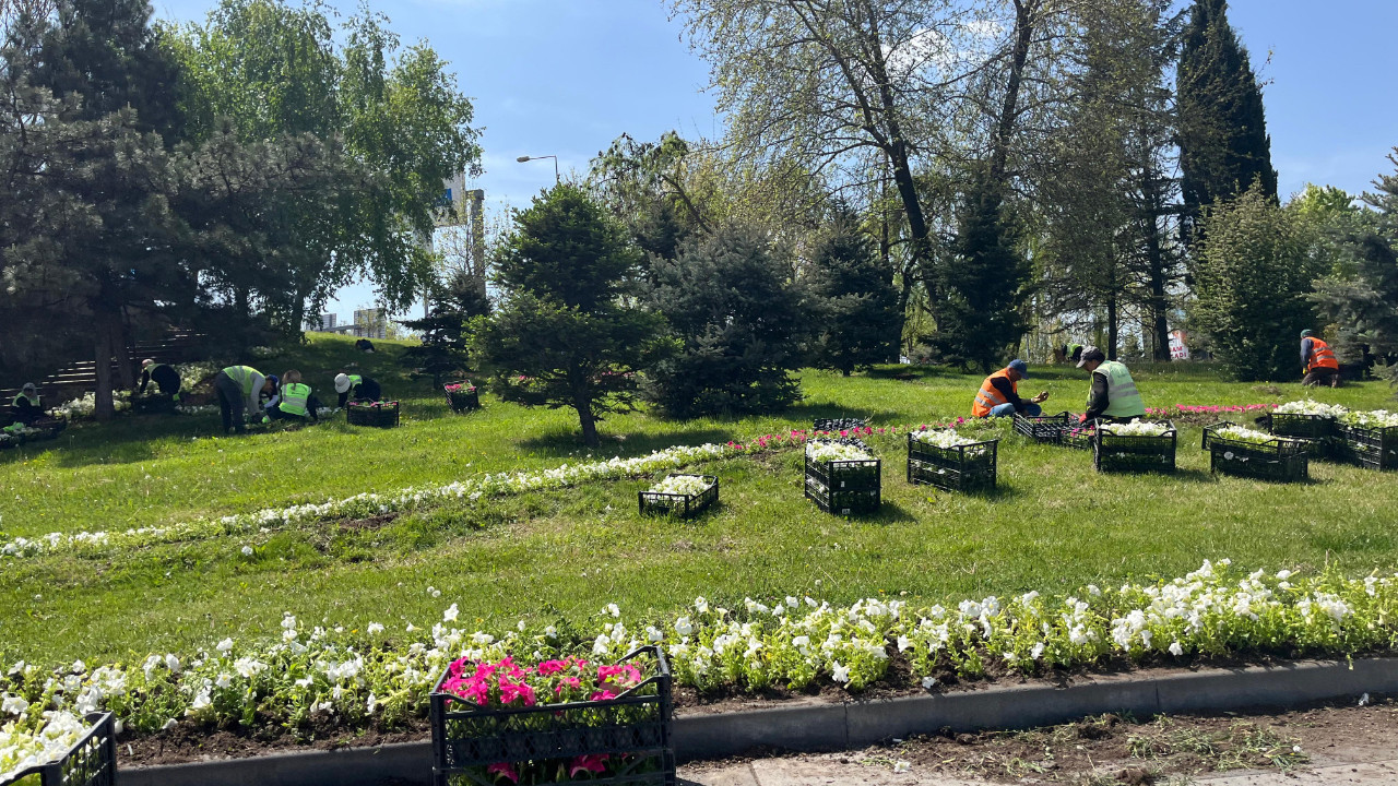 ABB ekipleri Başkent'i çiçeklerle donatıyor