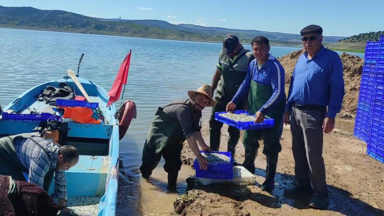 Yozgat'taki gümüş balıkları Avrupa’ya ihraç ediliyor