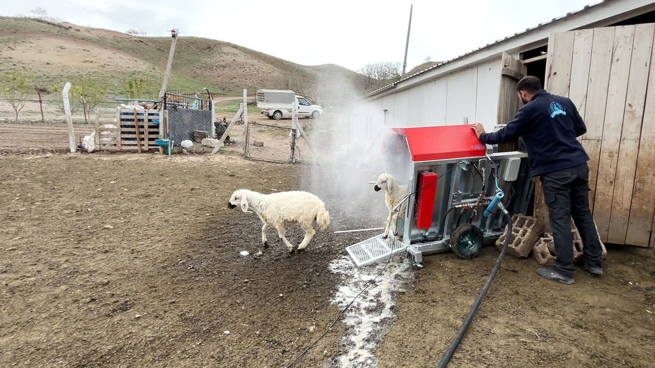 Şereflikoçhisar Belediyesinden üreticiye, dış parazit ilaçlaması desteği