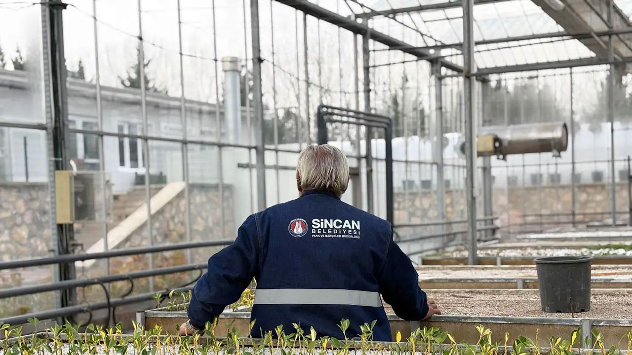 Sincan Belediyesinden sebze yetiştirmek isteyen vatandaşlara fide desteği
