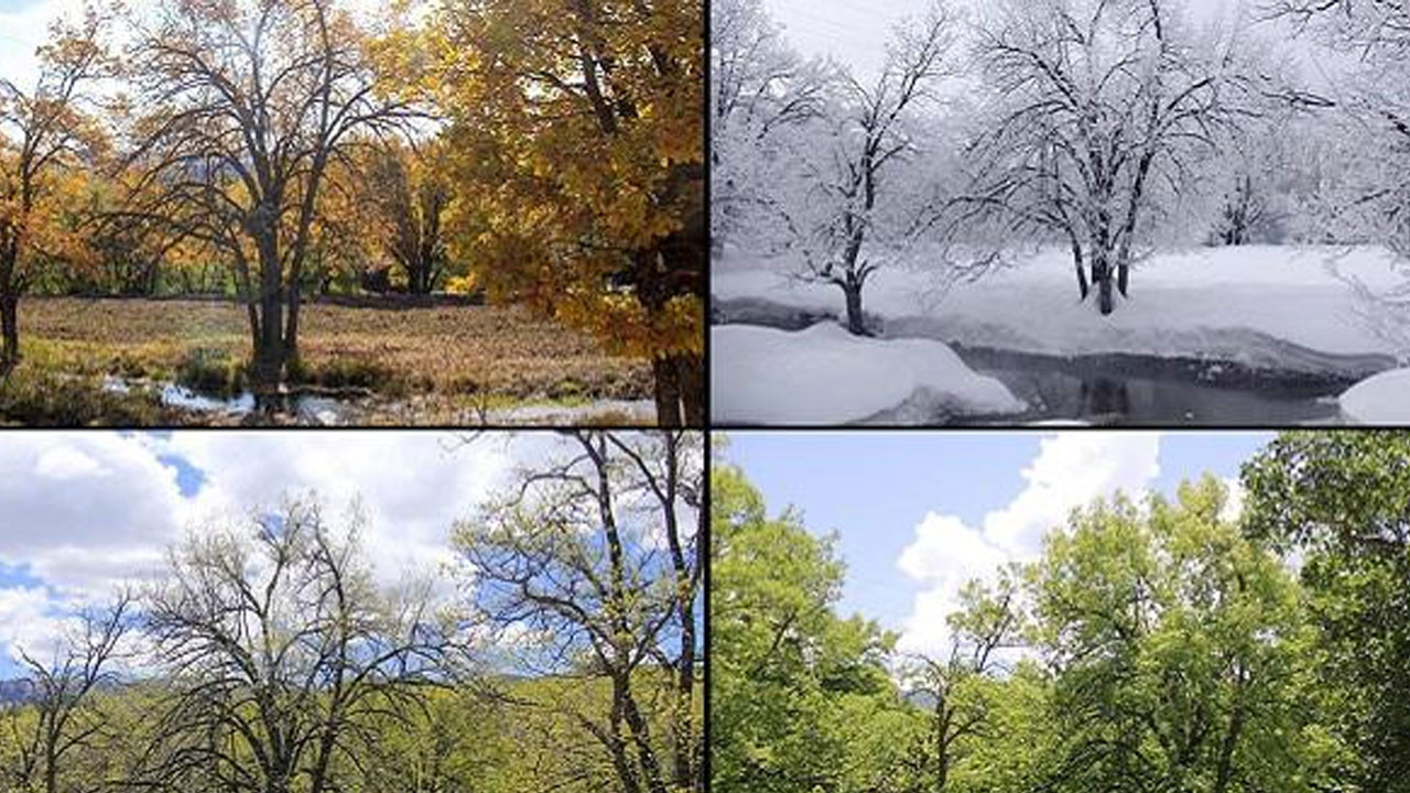Çankaya’da Dünya İklim Günü için anlamlı buluşma