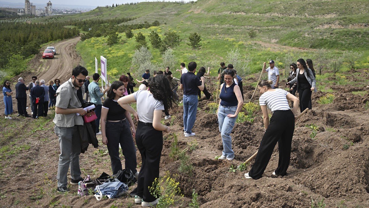 Mülkiyeliler, şiddete uğrayan kadınlar için 2 bin fidan dikti