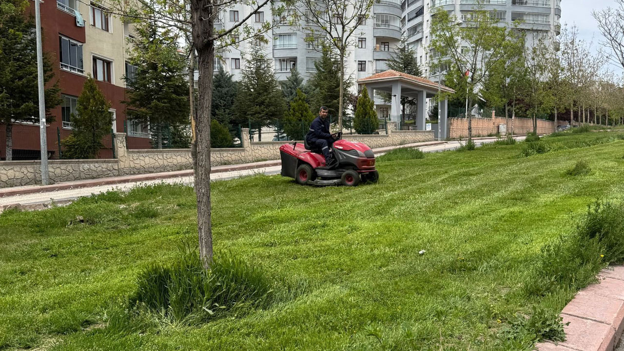 Yenimahalle'de yeşil alanlara bahar dokunuşu