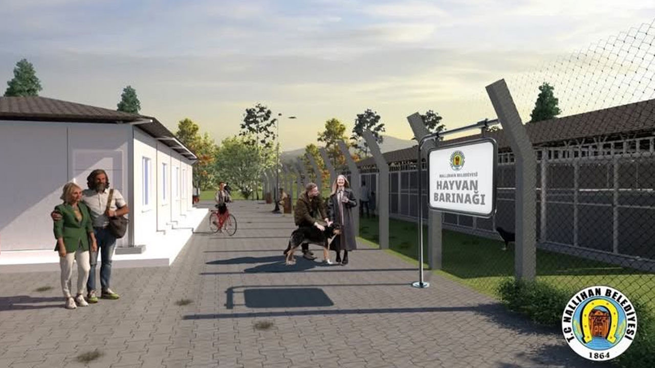 Ankara Nallıhan’da sokak hayvanları sorununa çözüm projesi yükseliyor