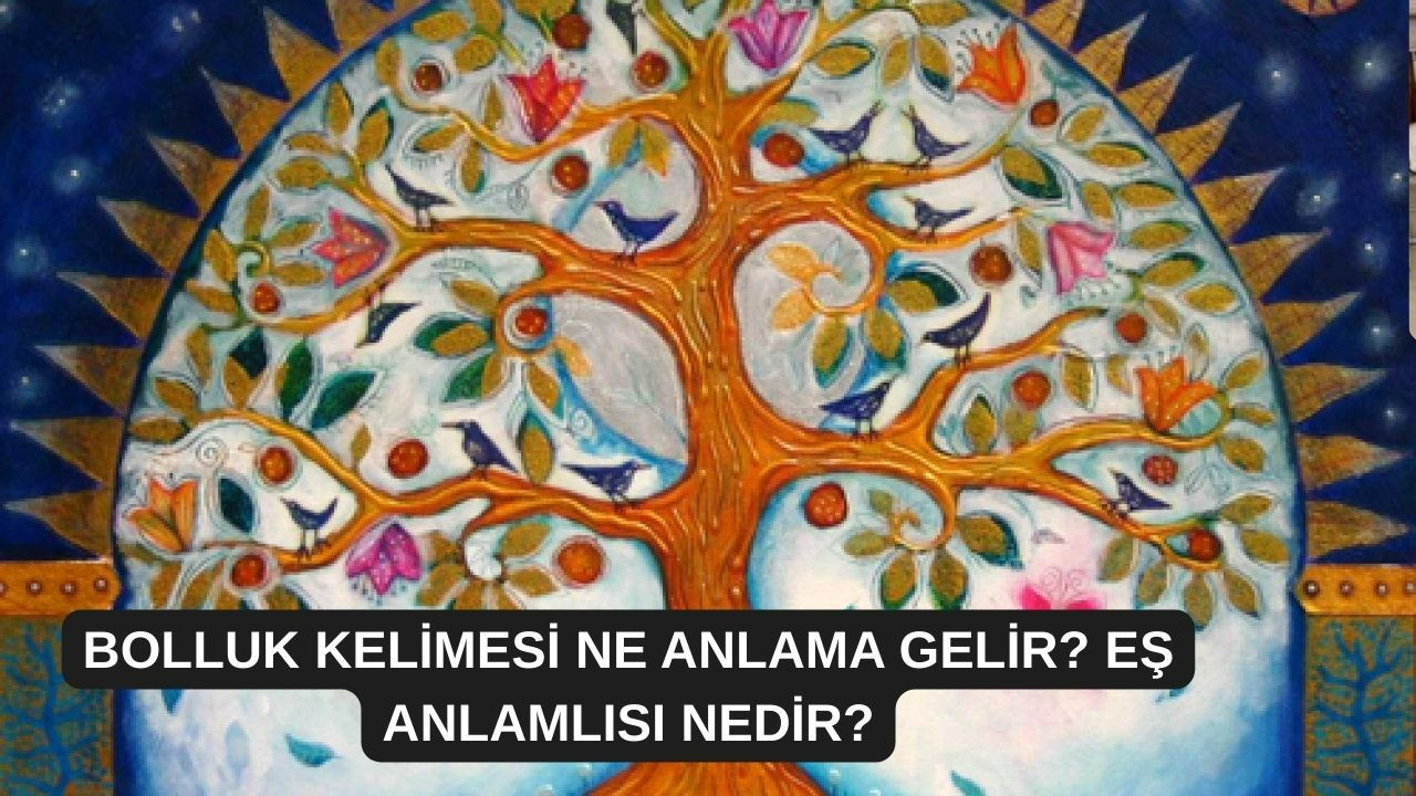 Bolluk kelimesi ne anlama gelir? Eş anlamlısı nedir?