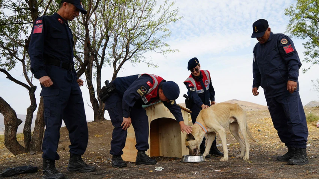 Yozgat’taki Karanlıkdere Vadisi’nde jandarma denetim yaptı