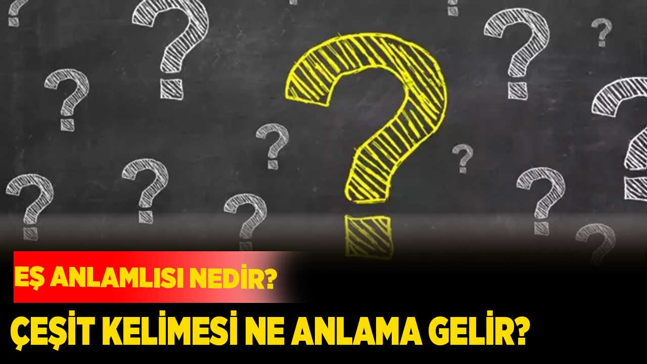 Çeşit kelimesi ne anlama gelir? Eş anlamlısı nedir?