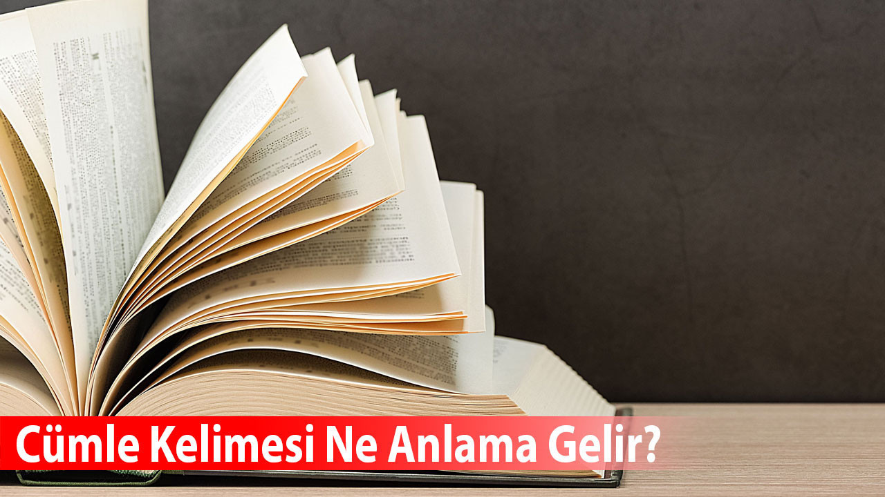 Cümle Kelimesi Ne Anlama Gelir? Eş Anlamlısı Nedir?