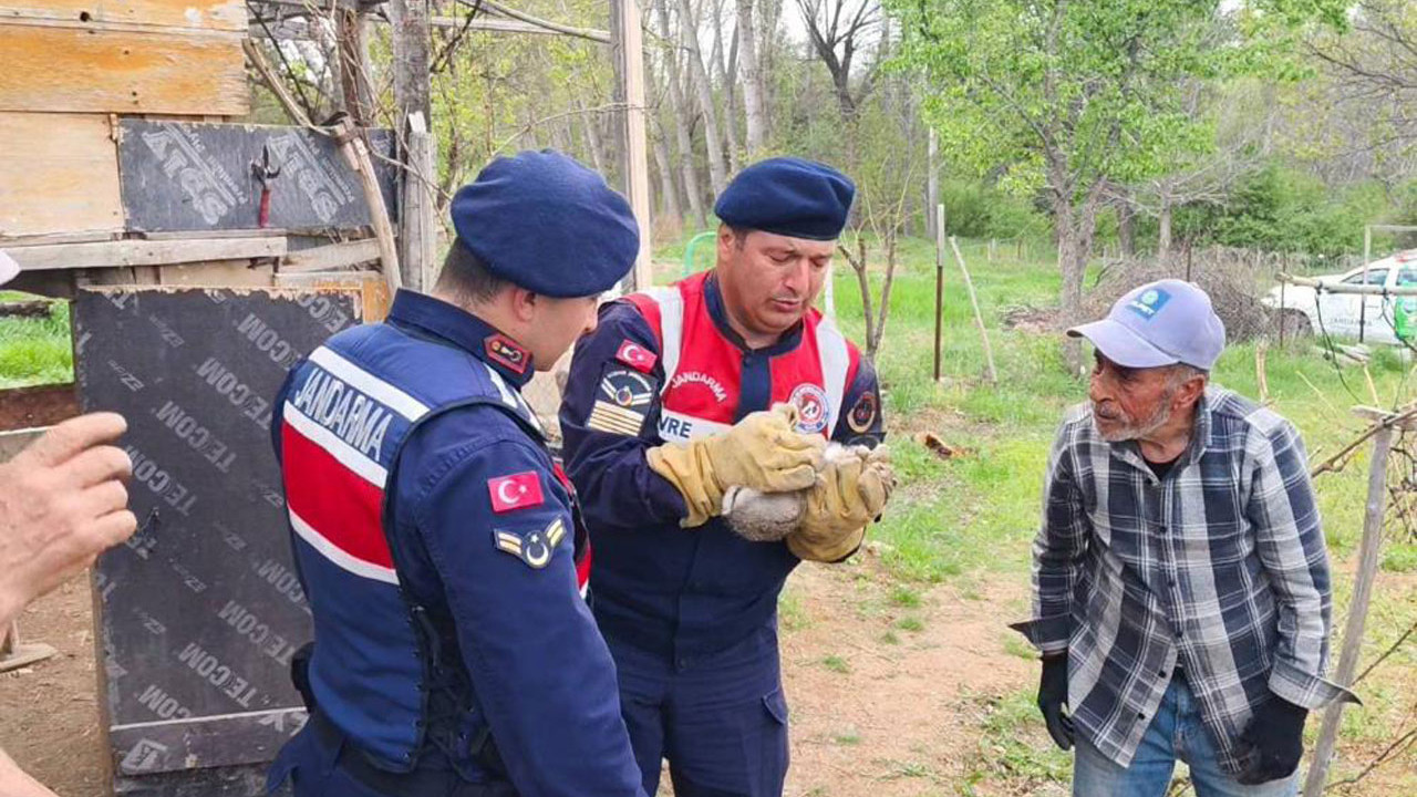 Yozgat’ta jandarma, yardım elini yaban yavru tavşanına uzattı