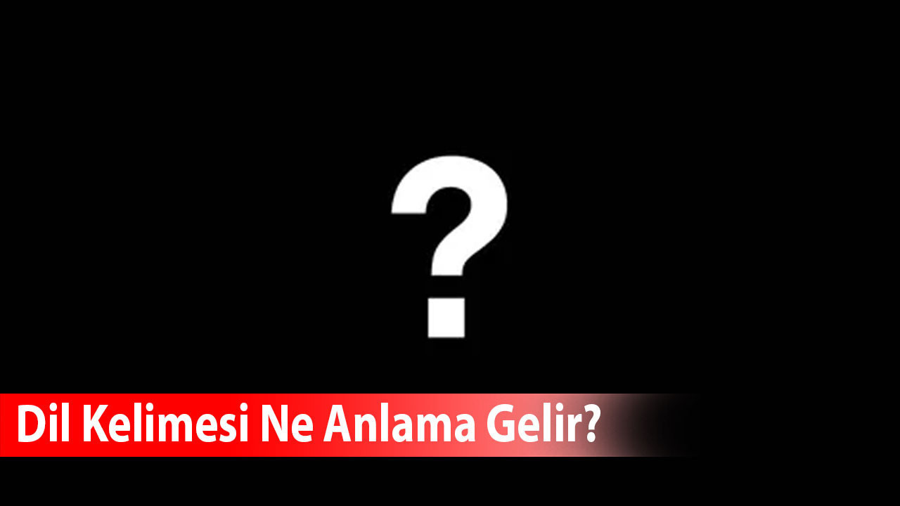Dil Kelimesi Ne Anlama Gelir? Eş Anlamlısı Nedir?