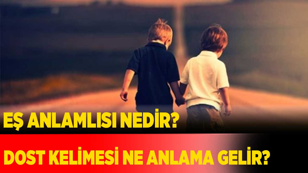Dost kelimesi ne anlama gelir? Eş anlamlısı nedir?