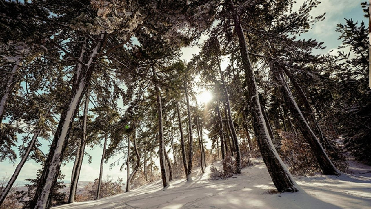 Ankara Kızılcahamam'da 18 Mayıs hava durumu nasıl? Piknik yapacaklar dikkat!