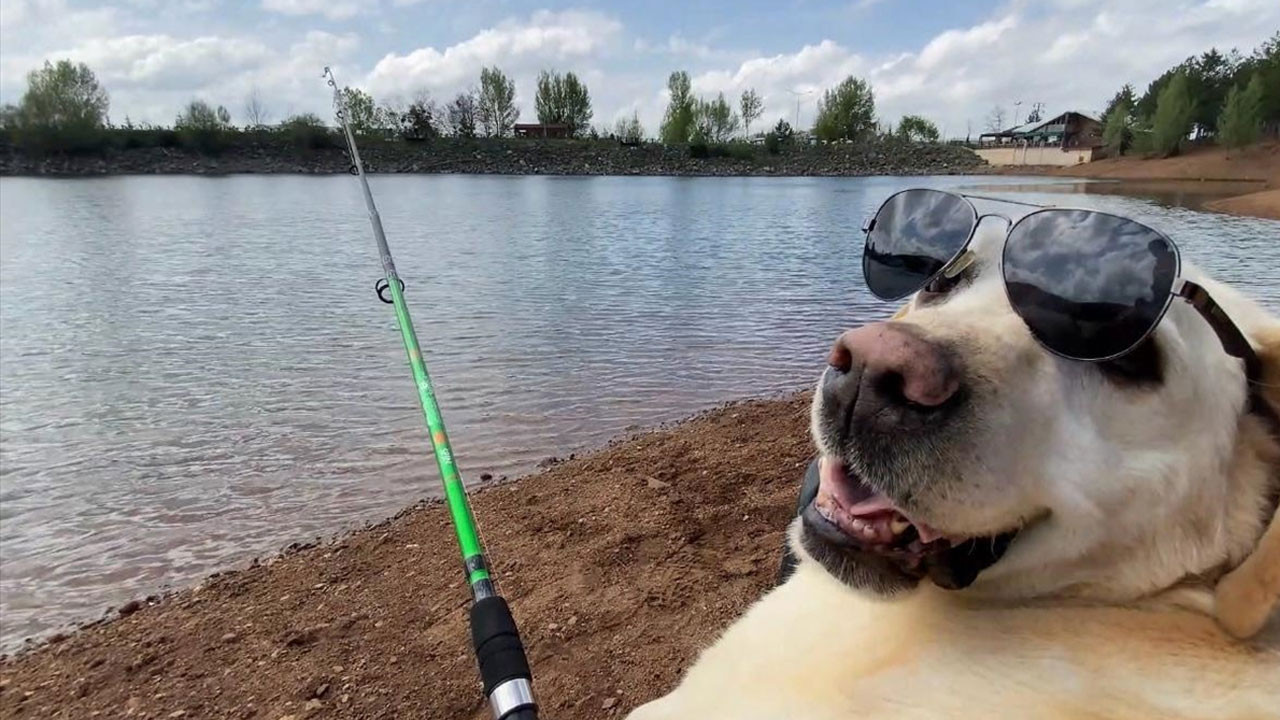 Yozgat Jandarmasının sessiz kahramanı "Dost" emekliye ayrıldı