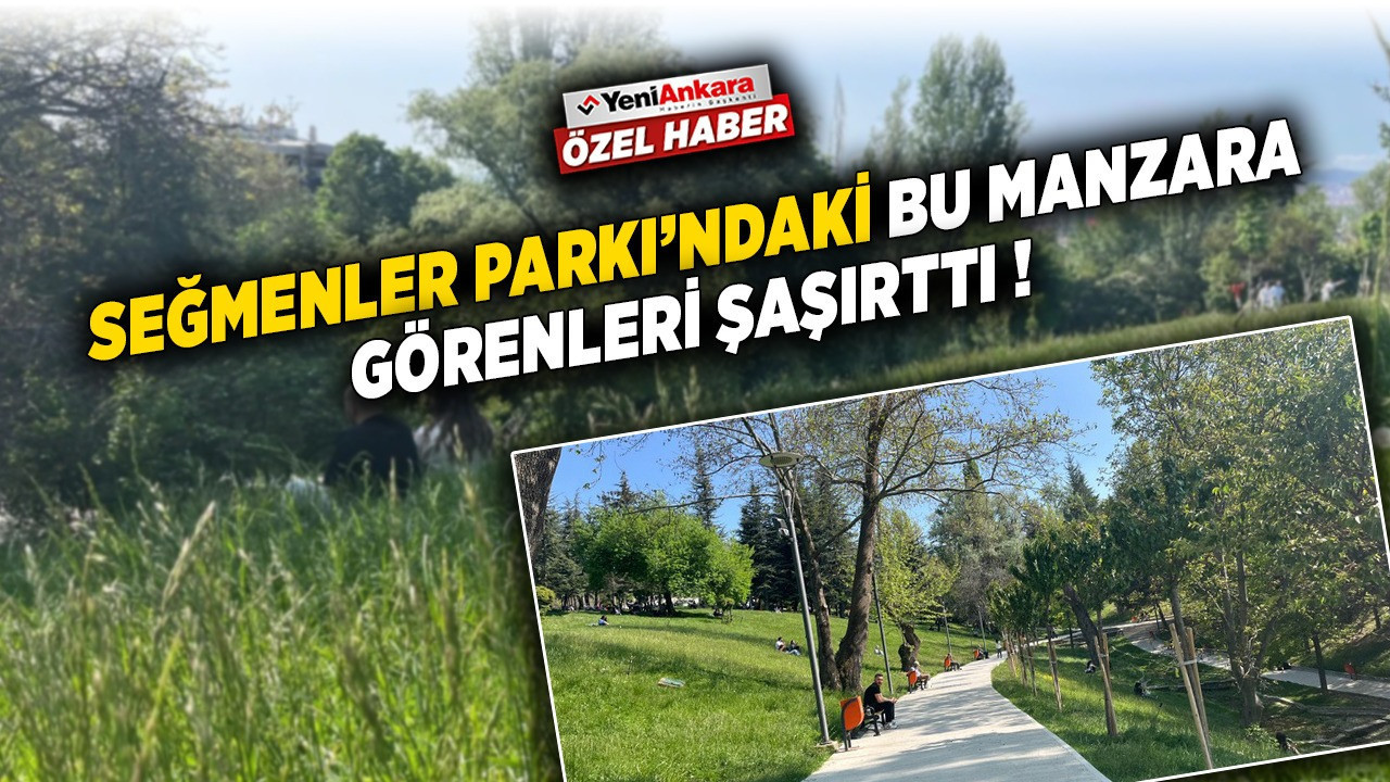 Seğmenler Parkı’ndaki bu manzara görenleri şaşırttı!