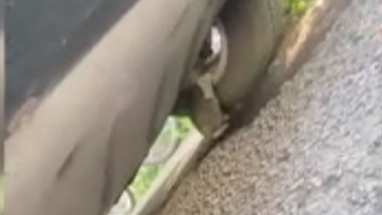 Çankaya’da otomobile sıkışan yavru kedi vatandaşların çabasıyla kurtarıldı