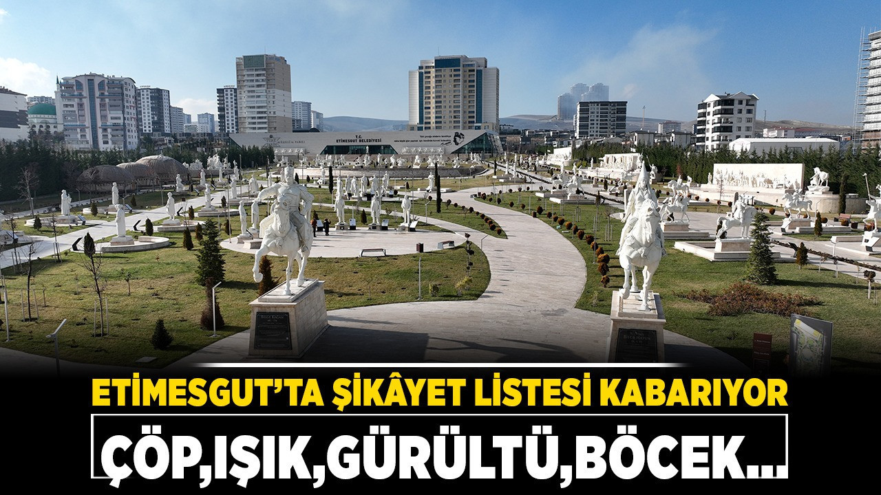 Etimesgut’ta şikayet listesi kabarıyor: Çöp, ışık, gürültü, böcek...