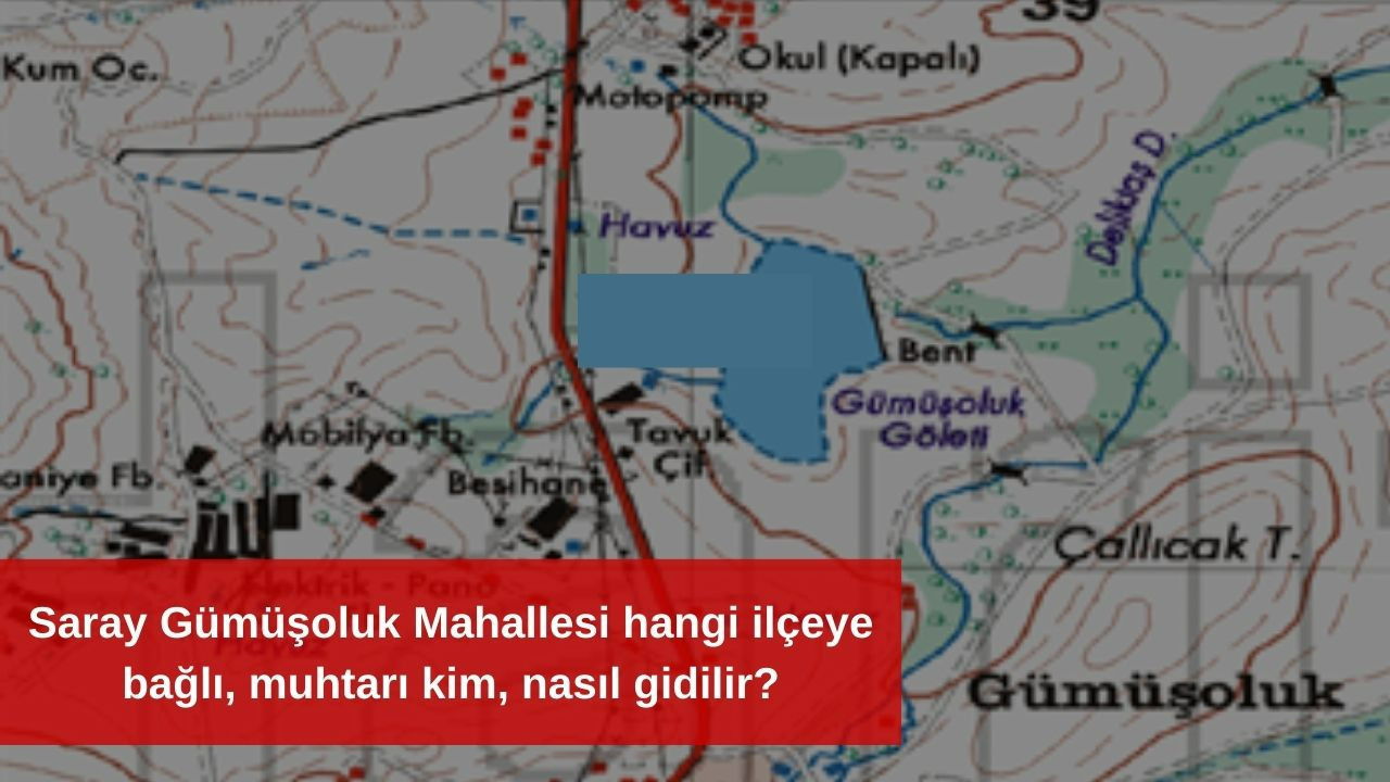 Saray Gümüşoluk Mahallesi hangi ilçeye bağlı, muhtarı kim, nasıl gidilir?