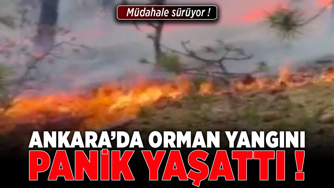 Beypazarı Aşağıgüney’de orman yangını! Müdahale sürüyor