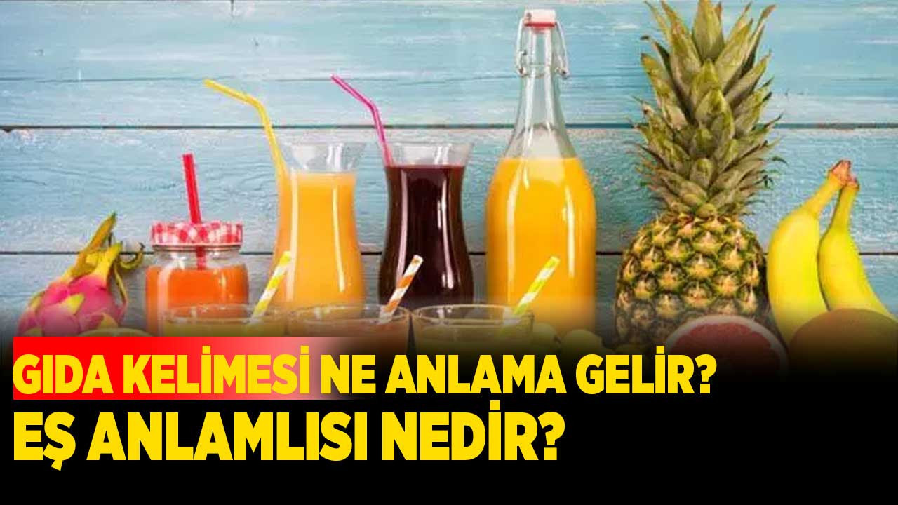 Gıda Kelimesi Ne Anlama Gelir? Eş Anlamlısı Nedir?