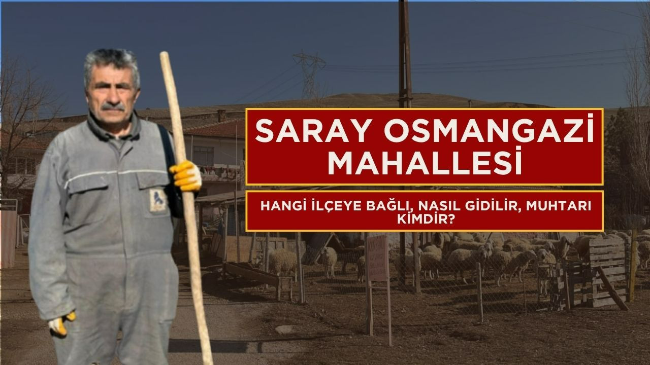 Saray Osmangazi Mahallesi hangi ilçeye bağlı, nasıl gidilir, muhtarı kimdir?