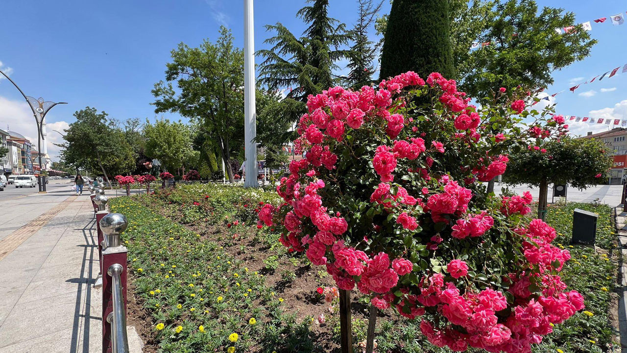 Sincan'da park ve bahçeler çiçeklerle donatıldı