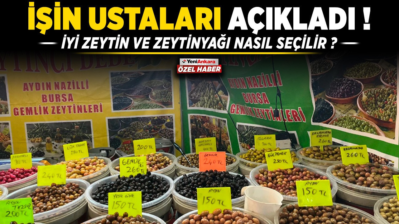 İşin ustaları, açıkladı | İyi zeytin ve zeytinyağı nasıl seçilir?